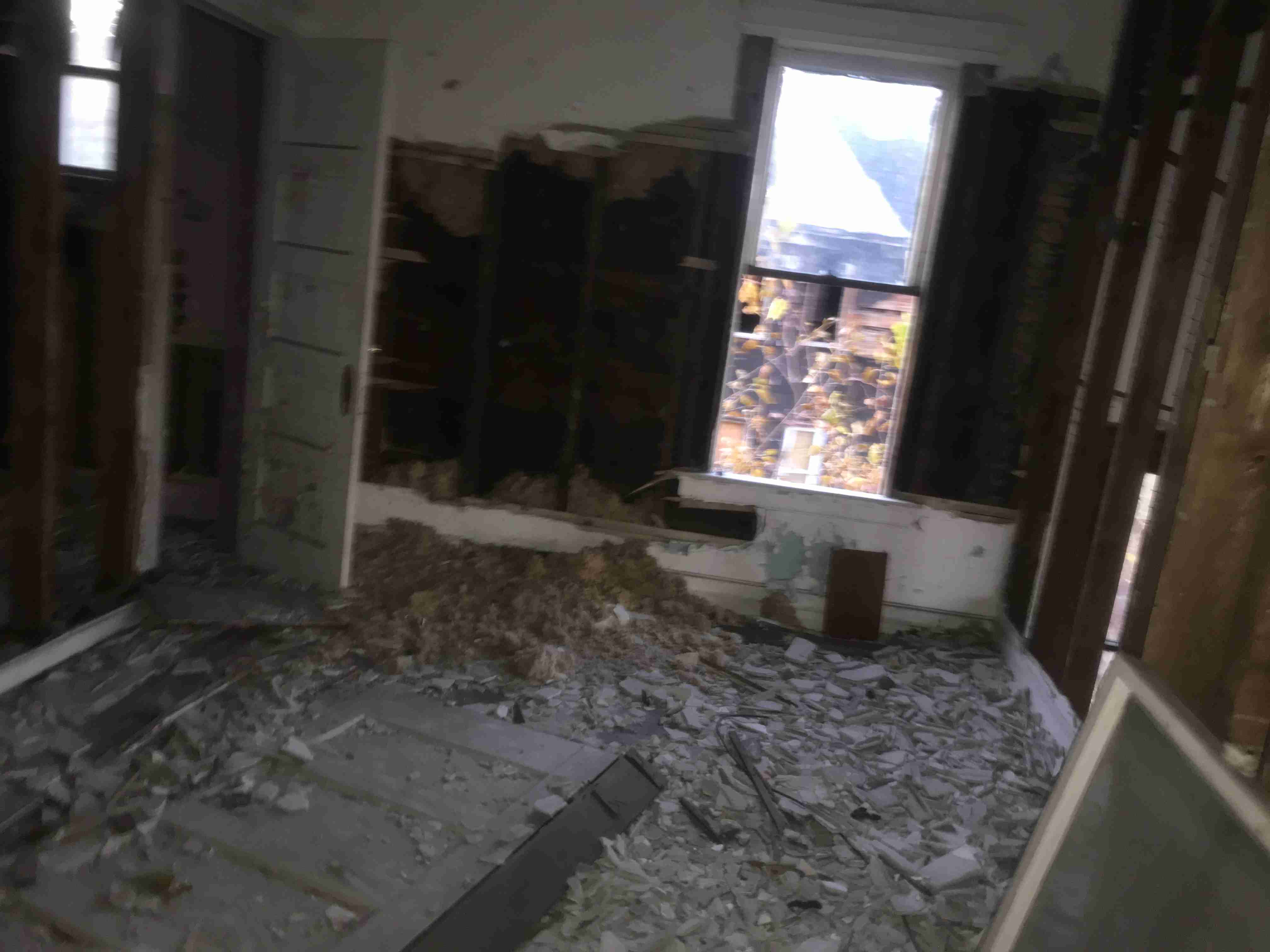 Photo Nov 04, 5 08 46 PM.jpg